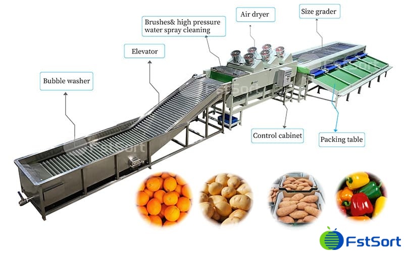 green pepper sorting machine.jpg green pepper sorting machine.jpg